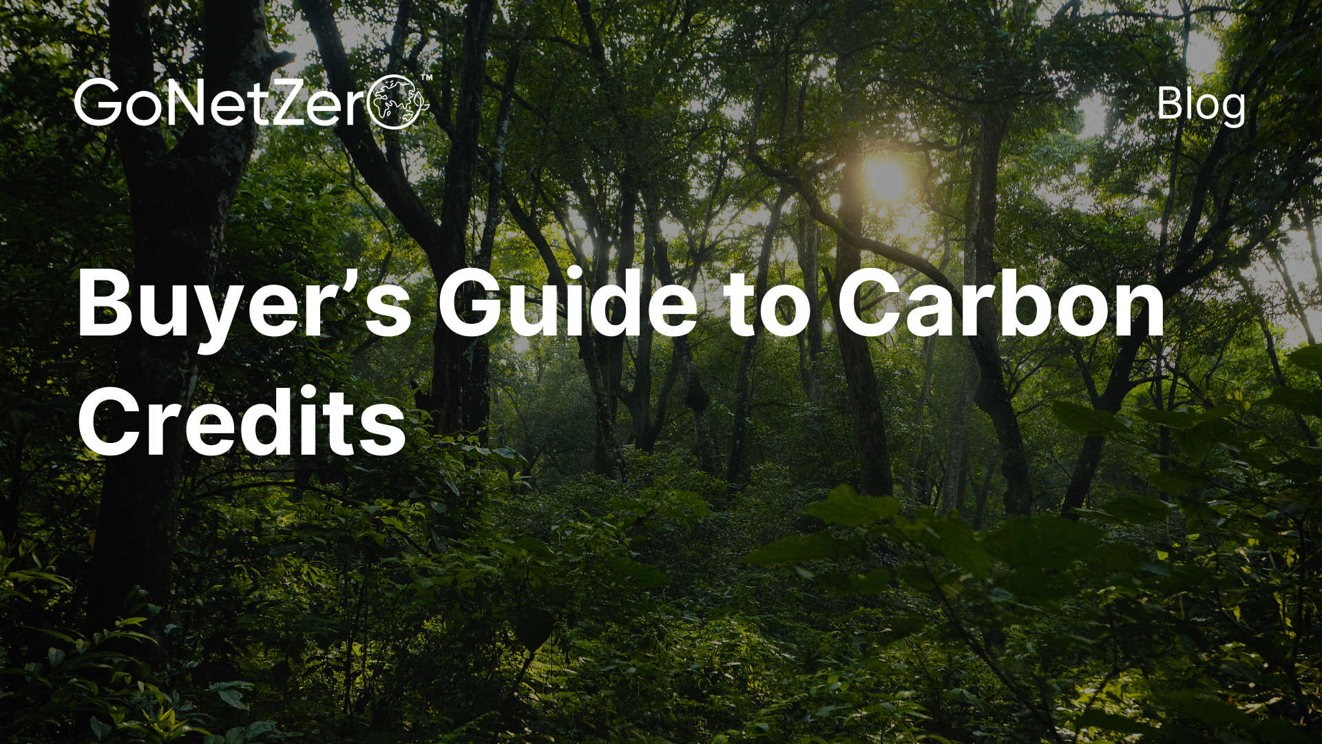 Buyer's Guide Carbon Credits