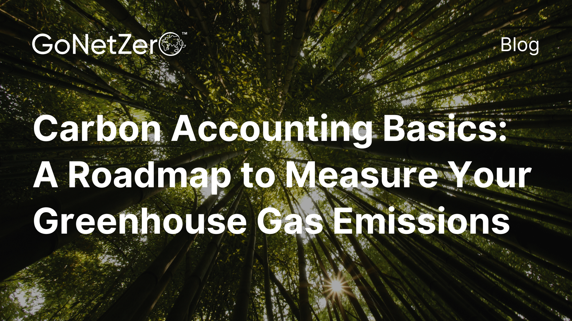 Carbon Accounting Basics (1)